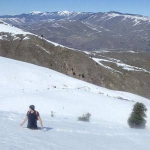 Meet your Posher, Willie